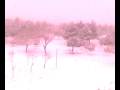 VIDEO 004