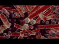 2008 Nucleus 3D Medical Animation Demo Reel