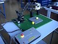 Roboterarm Titanium GRC