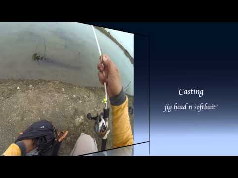 casting with rapala snow n soft bait