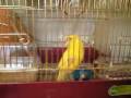 videos de 090101_0817~0001.m4v