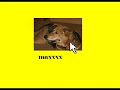Online (So Much Cooler on Myspace)