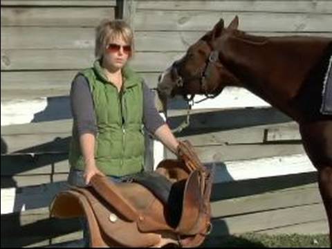 how to fit your horse with a western saddle