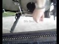 Buell Clutch Demo