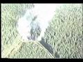 combate aereo incendios forestales  chile 