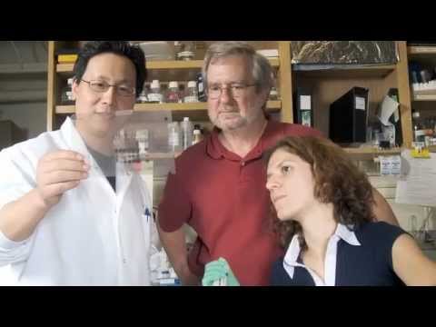 SU2C-CRI Cancer Immunology Translational Research Dream Team 