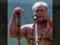 sapapalii
