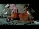 Couch talk with Pink and Floyd