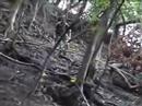 Kauai Goat Hunting with Bow and Arrow