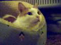 videos de Happy Tag