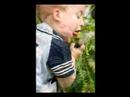 The Papaw Song