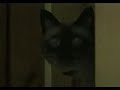 Kamaitachi no Yoru Tokubetsu-He - Opening Kamaitachi no Yoru Tokubetsu-He - Opening