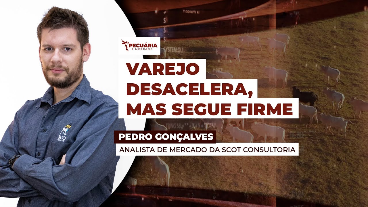 Vendas do varejo paulista desaceleram na segunda quinzena, mas atacado de carne registra alta...