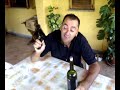 le minacce di un boss (pt1) le minacce di un boss (pt1)