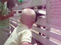 Jack feeding the sheep