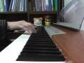 videos de Hamutaro tottoko uta (piano ver)
