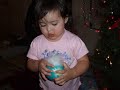 Hout xmas2006