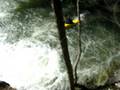 Falls on Hannacroix Creek, Ny