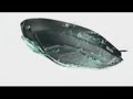 Sea-doo 2009 - S3 Hull