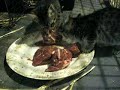 Click here to watch this video Baby's First Raw Meal
