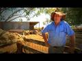 Terry Huntley on Why he Love Where he Lives