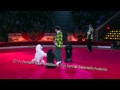 Serenada Avalona's black standart poodles in show.