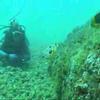 Diving in Grarapari, Brazil