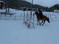 I all hast galloppombyten?