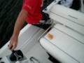 videos de fotsun&bullshark 210