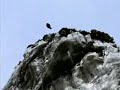 Basejump Basejumping