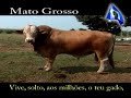 Hino de Mato Grosso