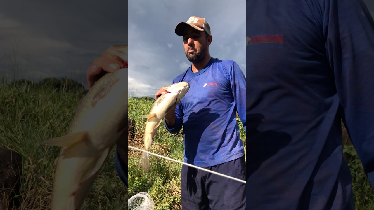 Peguei um mostro dessa vez