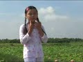 Hinh Bong Que Nha - H�nh B�ng Qu� Nh�