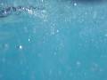 videos de Waves at Typhoon Lagoon