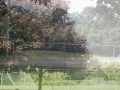 I uploaded a YouTube video -- Ledgewood Memorial Park http://youtu.be/g2ZTzWNEwdA?a