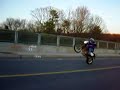 DR650 Wheelie