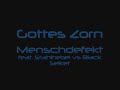 Gottes Zorn - Menschdefekt (feat. Stahlnebel vs Black Selket)