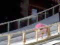 The Snow Boarding Dog at Rose Parade