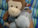 Webkinz easy contest #1