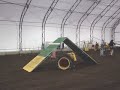 Dog Agility Training Running A-Frame Dog Agility Training Running A-Frame