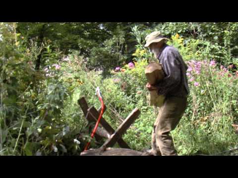 An American Poet's State of the Union Trailer