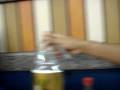 videos de pertubação no G. barbosa