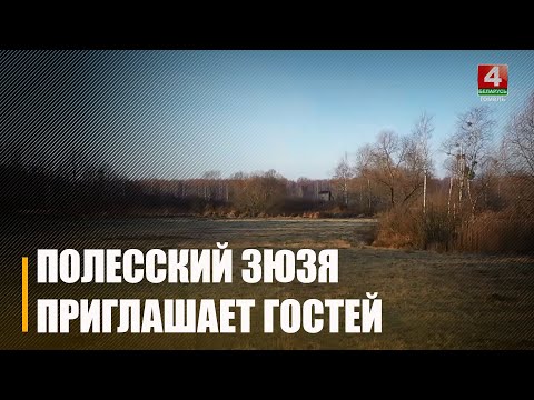 Нацпарк «Припятский» с 13 декабря приглашает всех в волшебное поместье Деда Мороза видео