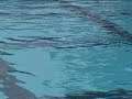 Flood Dive Video