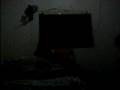 videos de emerenciano y calichu en plena accion