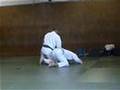 Tomiki Aikido - Koryu No Kata (Koryu Dai Go)