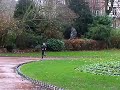 Sylvano : seul en tête