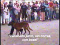 Brie Feria de Puebla 2008