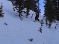Riding off a snow covered boulder in Winter Park's Parsenn Bowl.