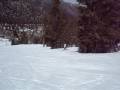 the 4 asians' snowboard adventures